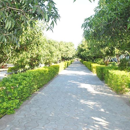 Gir Jungle Lodge Sasan Gir Exterior photo