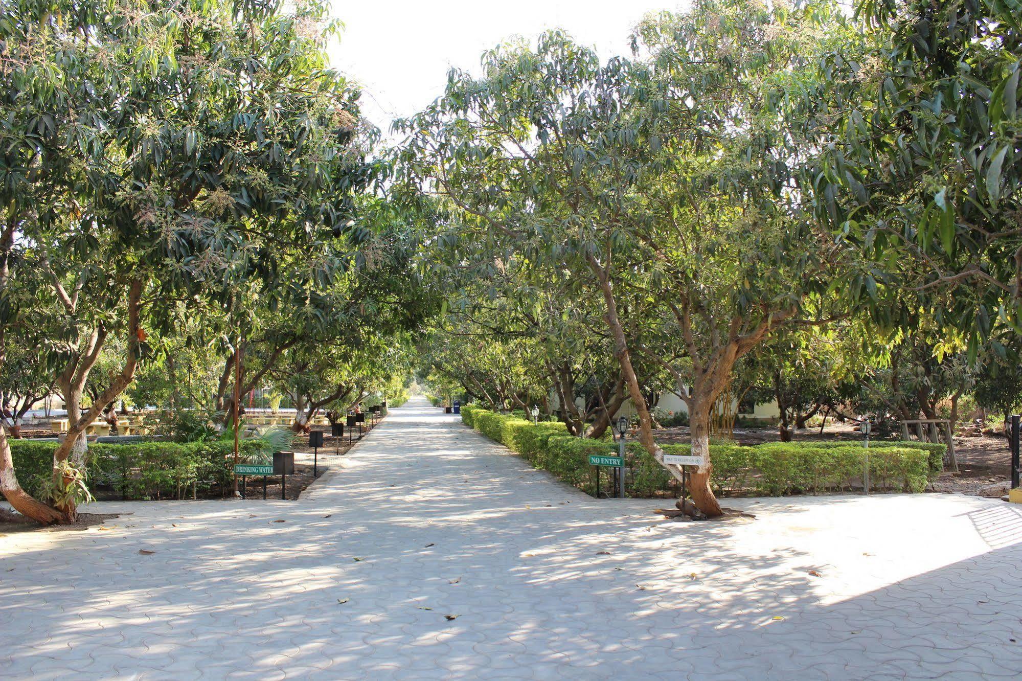 Gir Jungle Lodge Sasan Gir Exterior photo